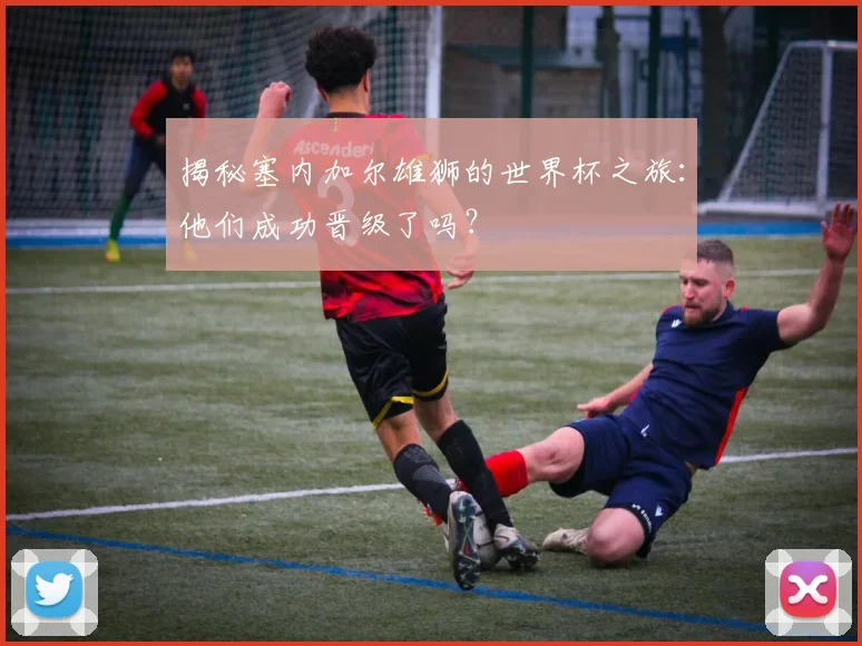 揭秘塞内加尔雄狮的世界杯之旅：他们成功晋级了吗？