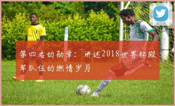 第四名的勋章：讲述2018世界杯殿军队伍的燃情岁月