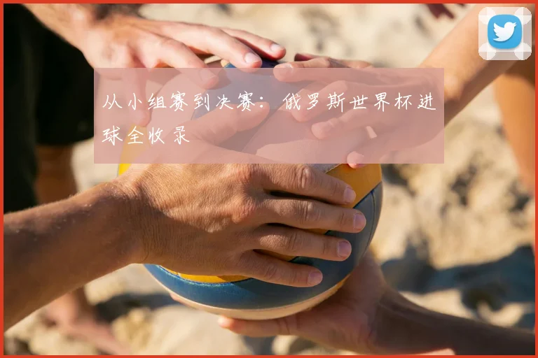 从小组赛到决赛:俄罗斯世界杯进球全收录