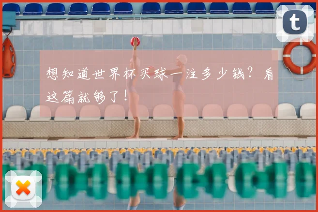 想知道世界杯买球一注多少钱？看这篇就够了！