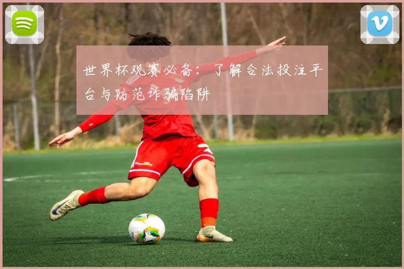 世界杯观赛必备:了解合法投注平台与防范诈骗陷阱