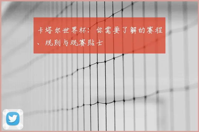 卡塔尔世界杯：你需要了解的赛程、规则与观赛贴士