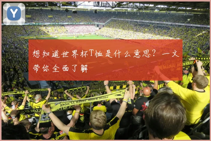 想知道世界杯T恤是什么意思？一文带你全面了解