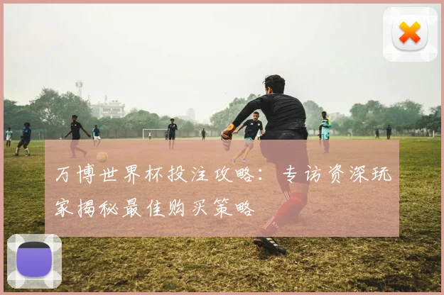 万博世界杯投注攻略:专访资深玩家揭秘最佳购买策略
