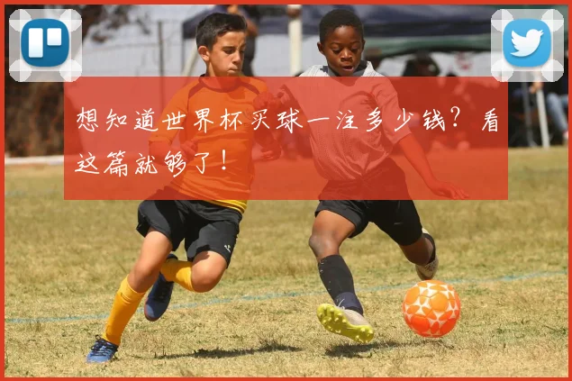 想知道世界杯买球一注多少钱？看这篇就够了！