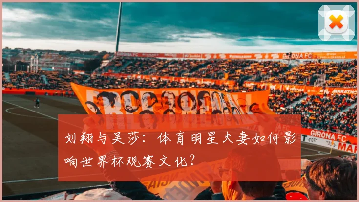 刘翔与吴莎:体育明星夫妻如何影响世界杯观赛文化?