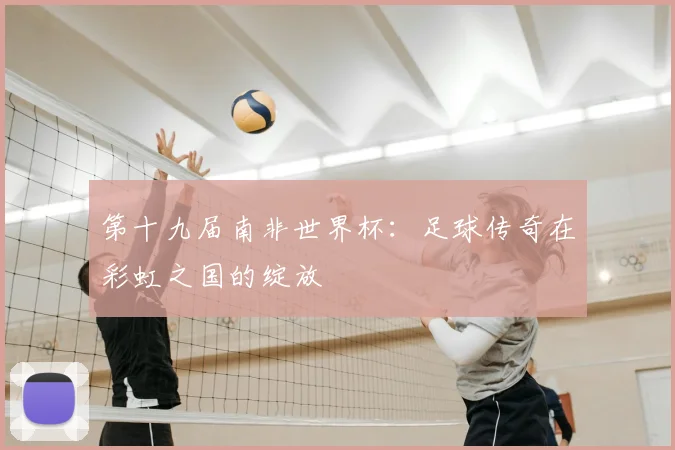 第十九届南非世界杯：足球传奇在彩虹之国的绽放