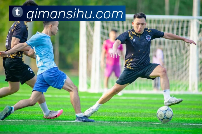 开云手机入口登录官网平台生态图